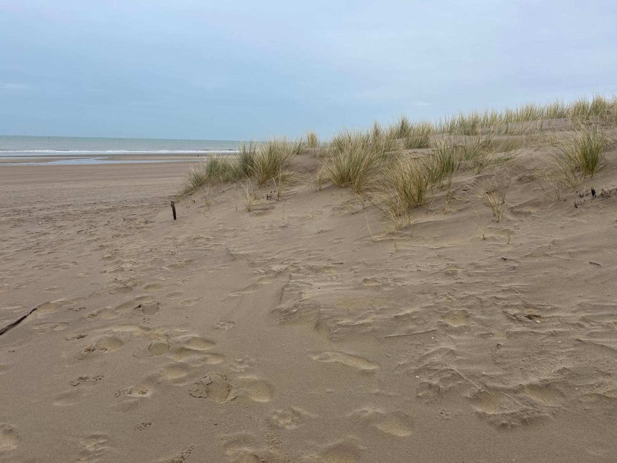 Centraal Gelegen Gezellig Verblijf Met Groot Terras Oostende Dış mekan fotoğraf